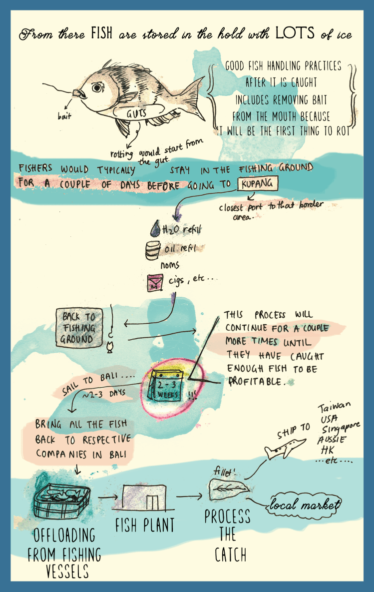 Indonesian fishery infographic